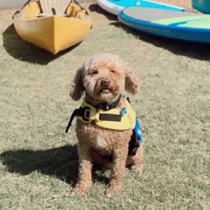 Meet your Posher, Gretchen